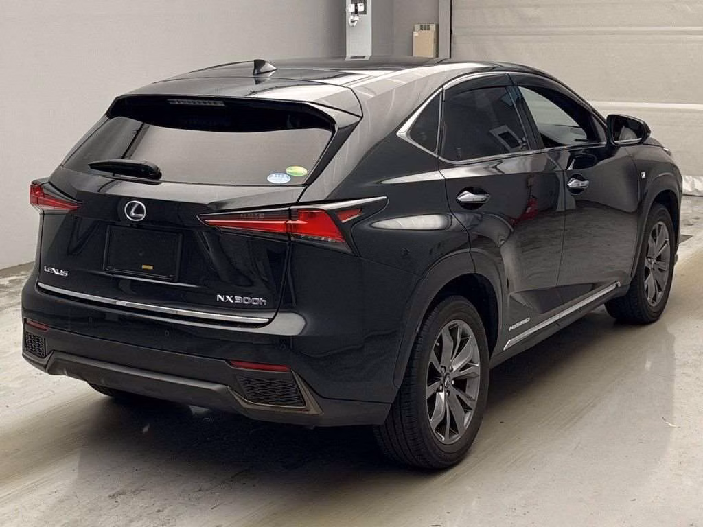 LEXUS NX300