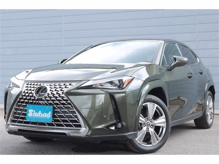 Lexus UX250h