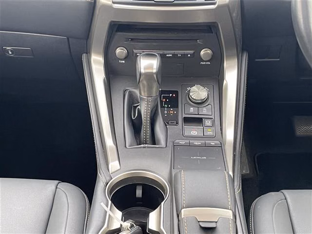 LEXUS NX300