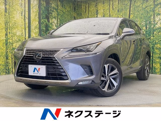 LEXUS NX300