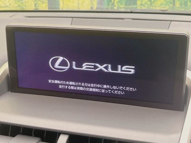LEXUS NX300