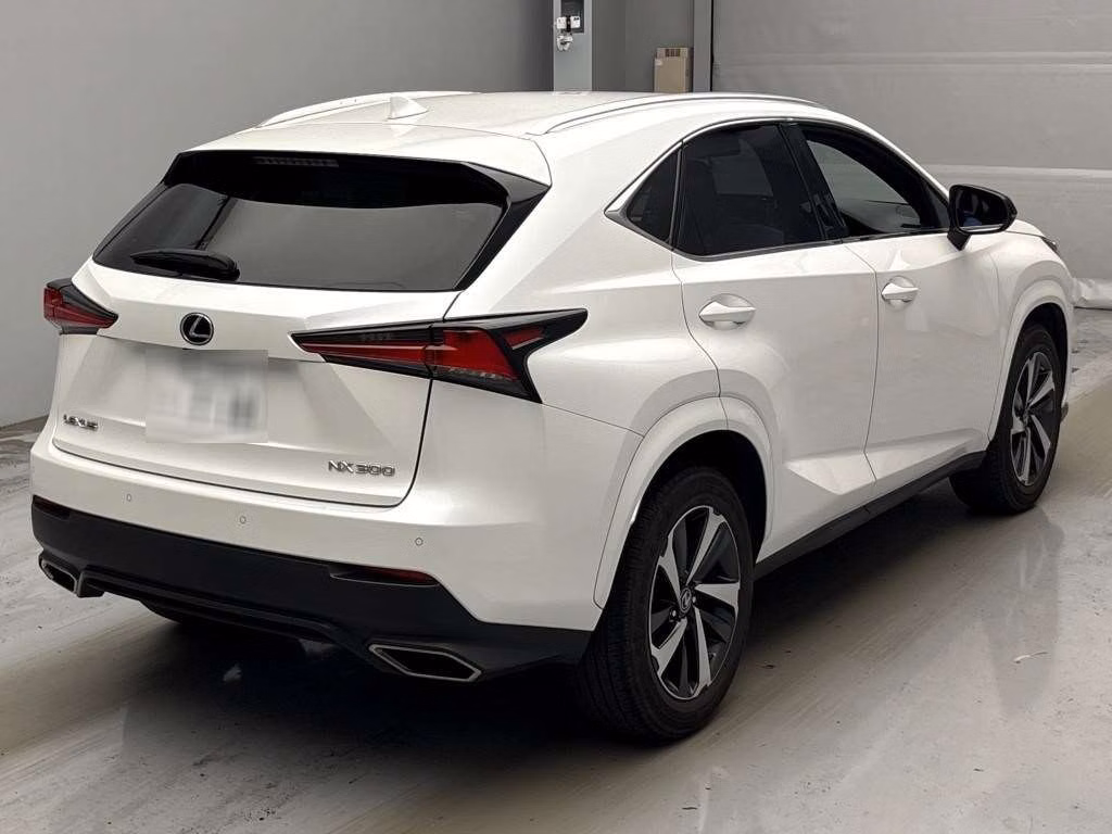 LEXUS NX300