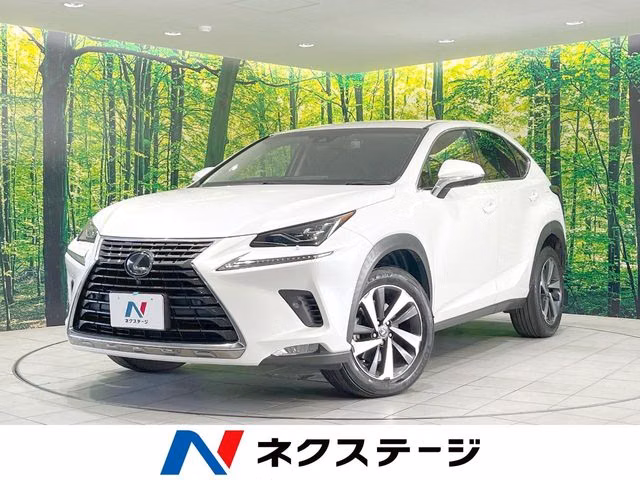 LEXUS NX300