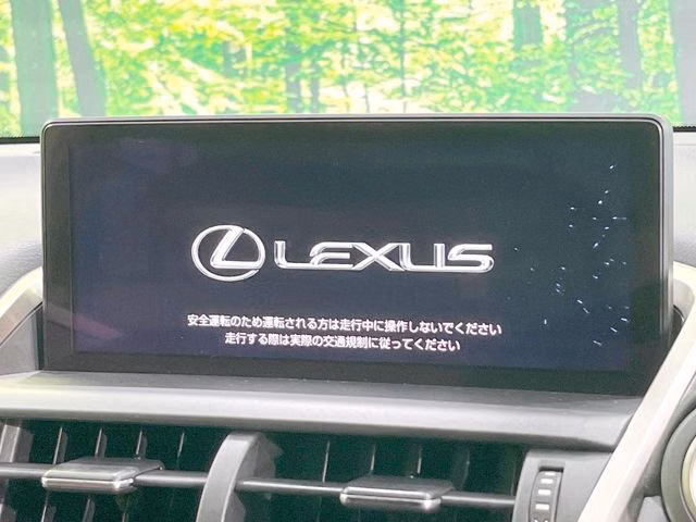 LEXUS NX300