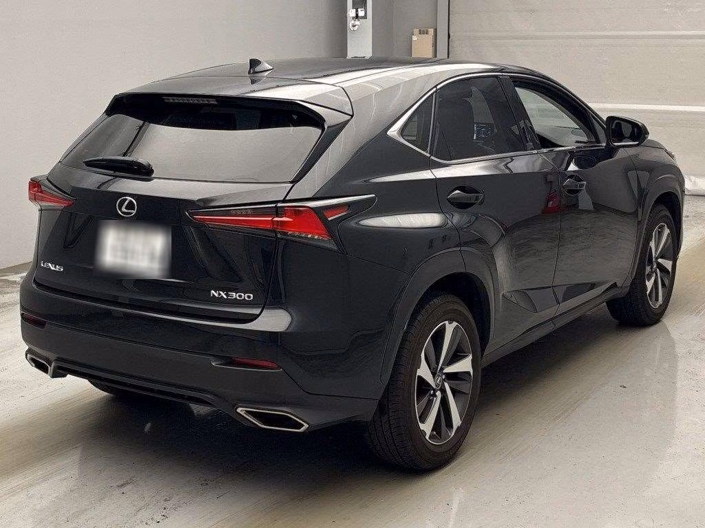 LEXUS NX300