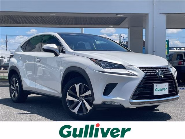 LEXUS NX300