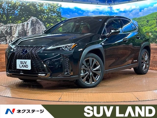 LEXUS UX250H