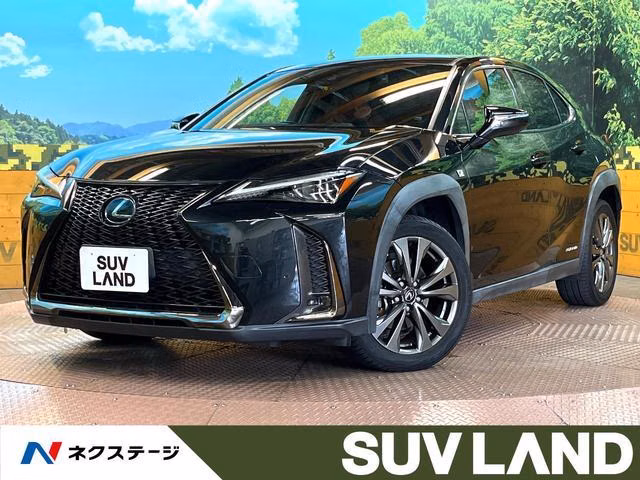 Lexus UX250h