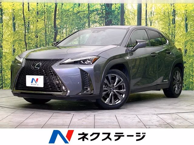 LEXUS UX250H