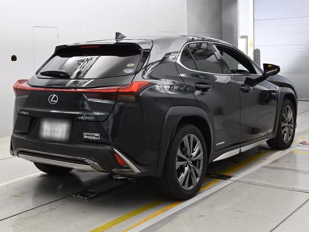 LEXUS UX250H