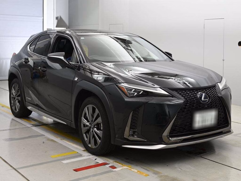LEXUS UX250H