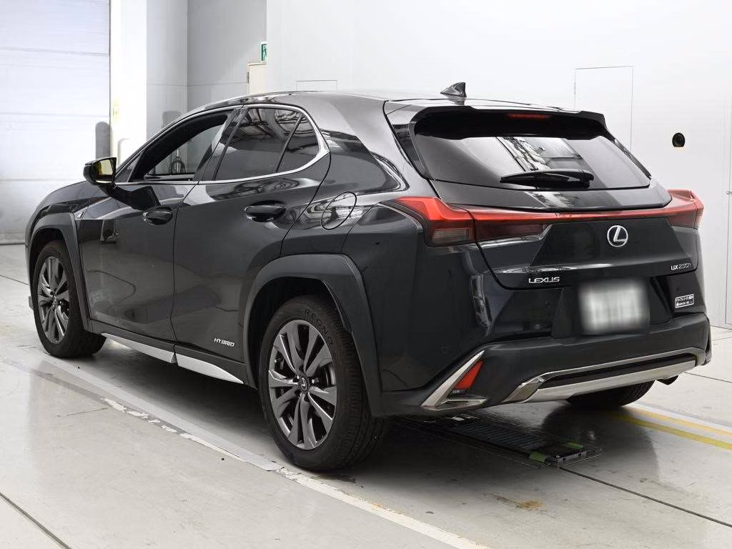 LEXUS UX250H