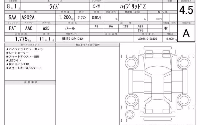 TOYOTA RAIZE