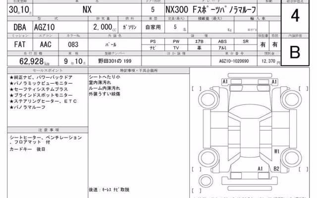 LEXUS NX300