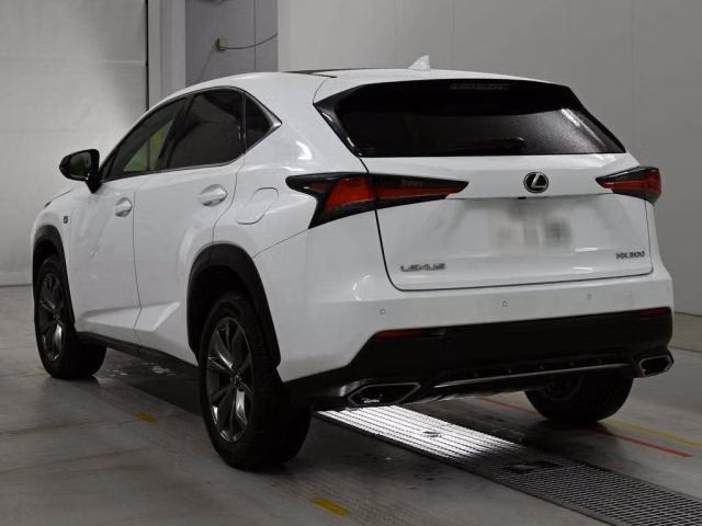 LEXUS NX300