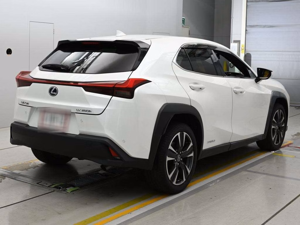 LEXUS UX250H