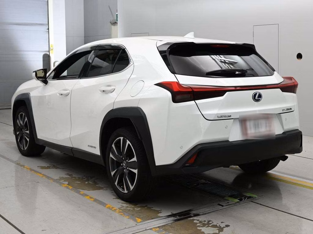 LEXUS UX250H