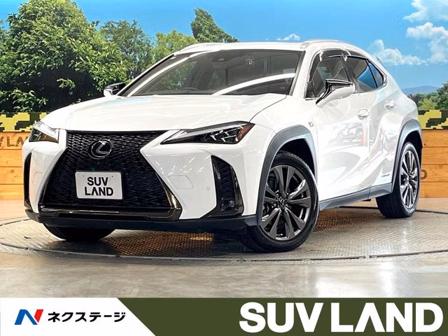 LEXUS UX250H