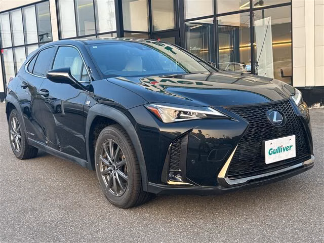 LEXUS UX250H