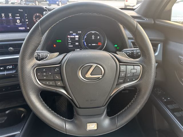 LEXUS UX250H