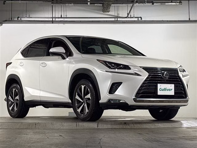 LEXUS NX300