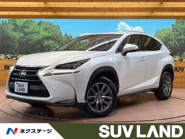 LEXUS NX300