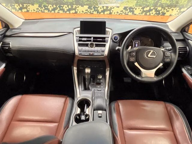 LEXUS NX300
