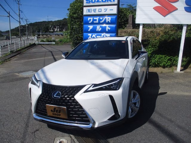 LEXUS UX250H