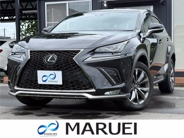 LEXUS NX300