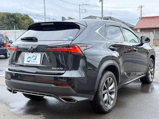 LEXUS NX300