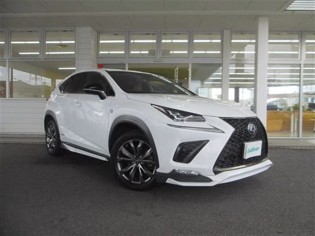 LEXUS NX300
