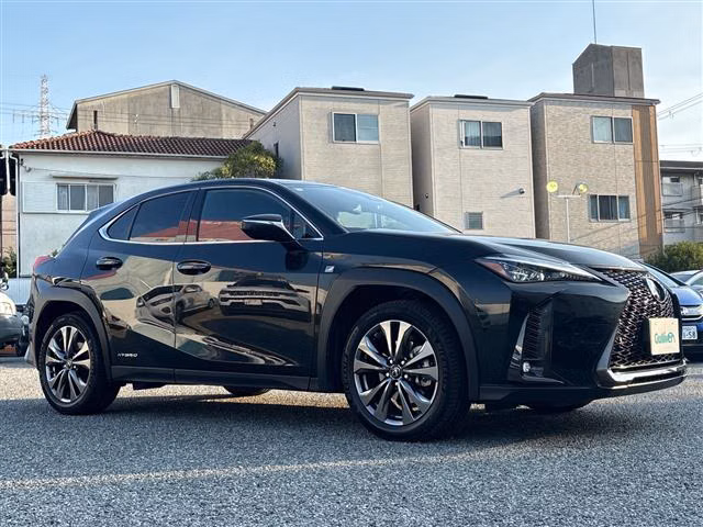 LEXUS UX250H