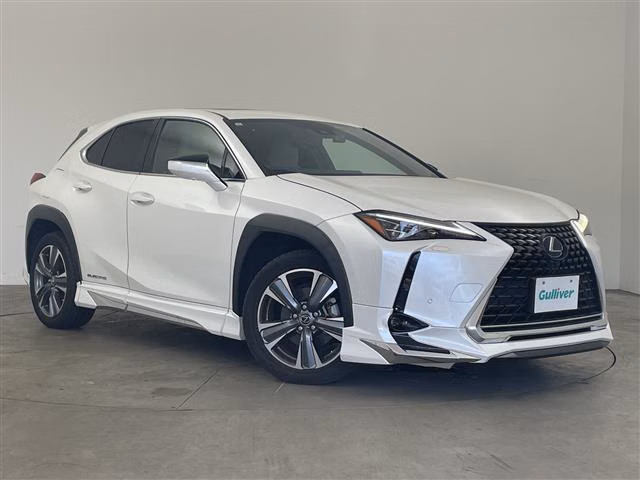 Lexus UX300e