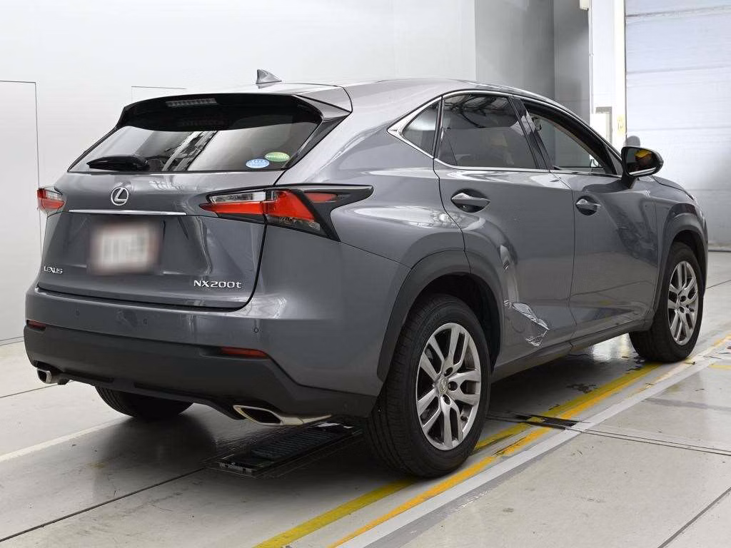 LEXUS NX300