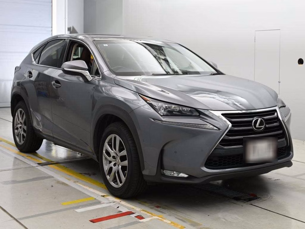 LEXUS NX300