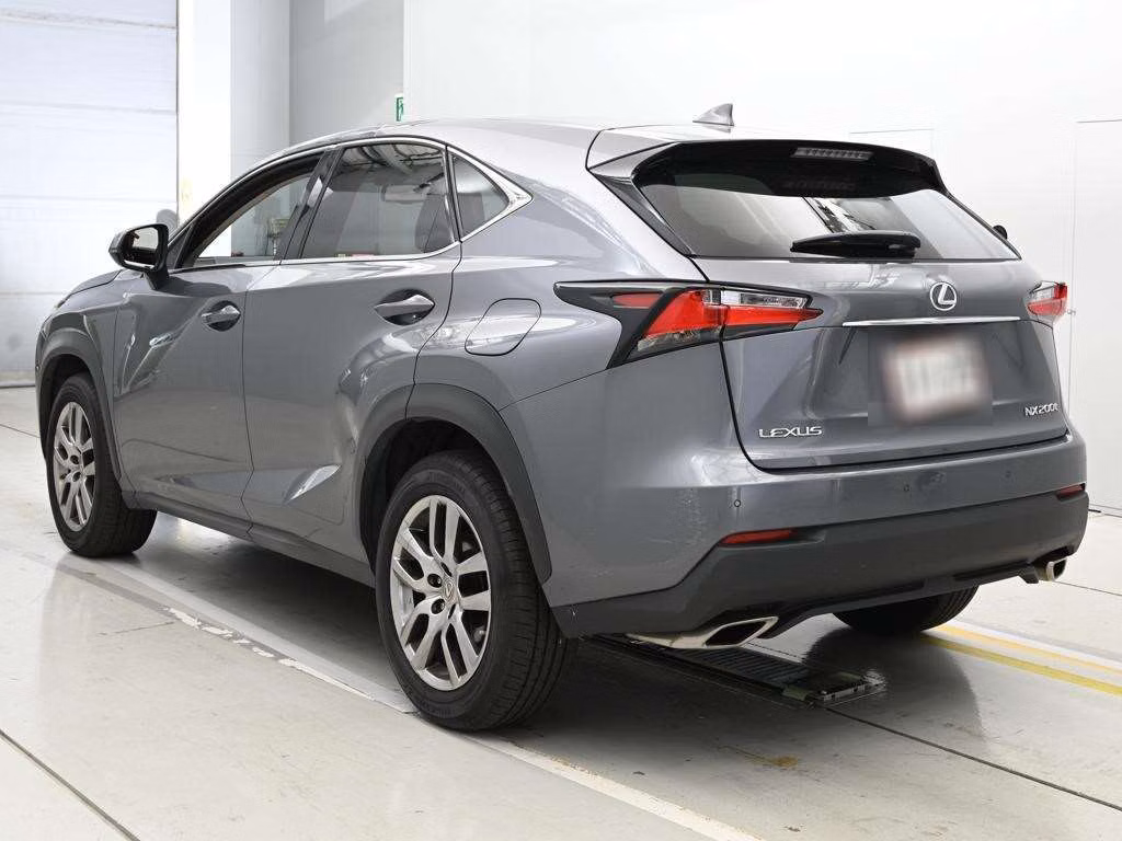LEXUS NX300