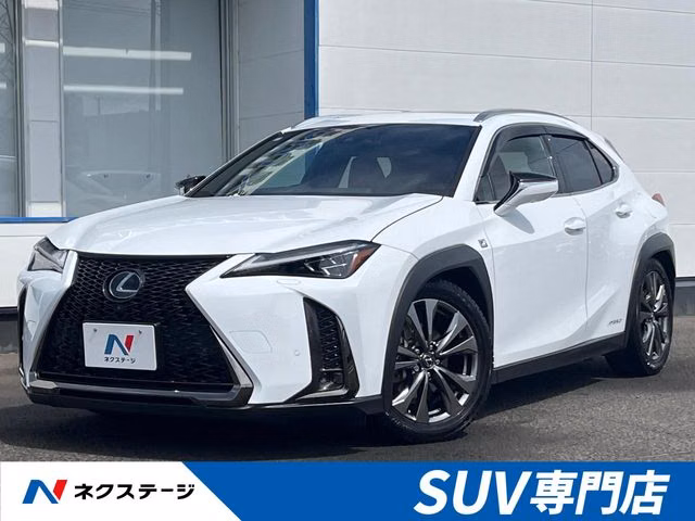 LEXUS UX250H