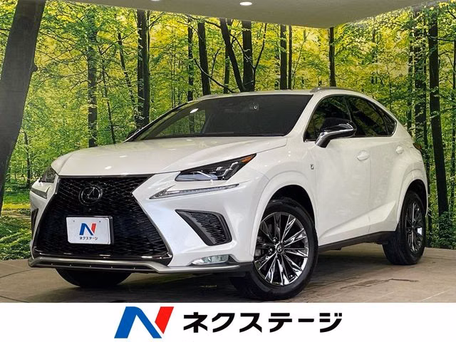 LEXUS NX300