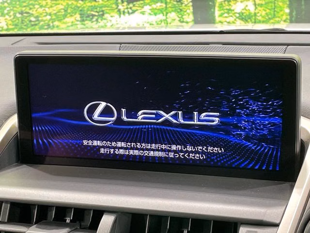 LEXUS NX300