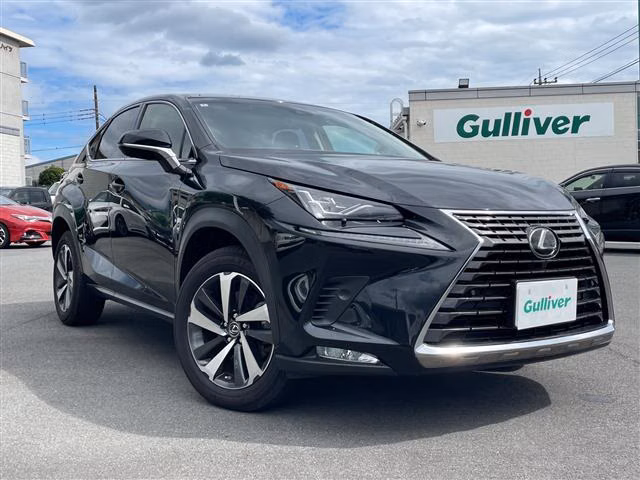 LEXUS NX300