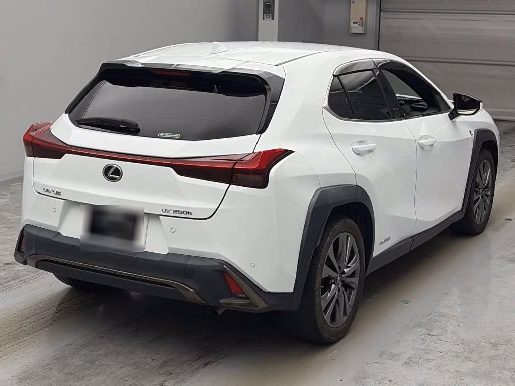 LEXUS UX250H
