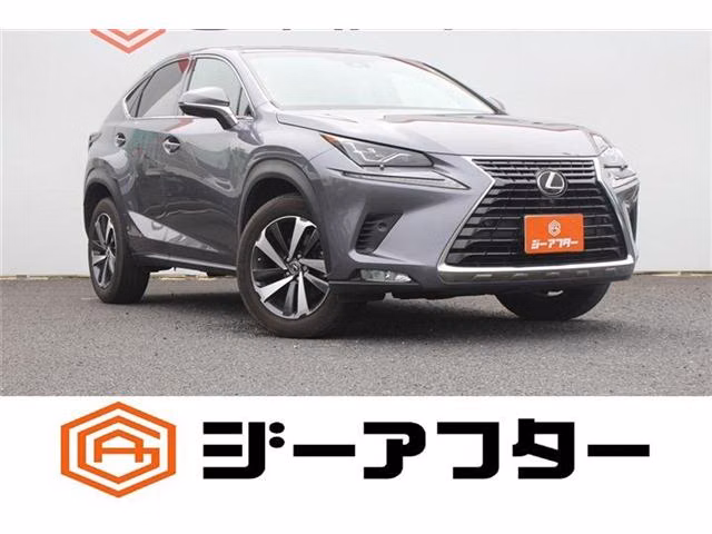 LEXUS NX300