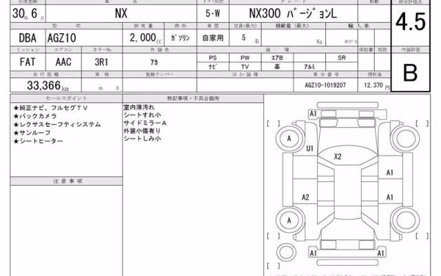 LEXUS NX300