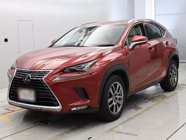 LEXUS NX300