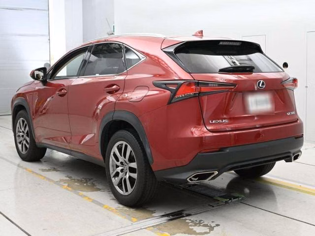 LEXUS NX300
