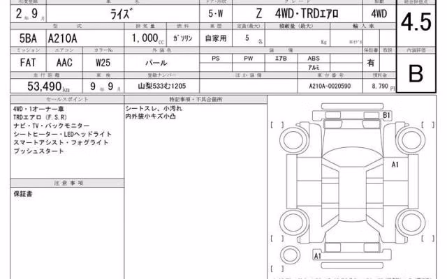 TOYOTA RAIZE