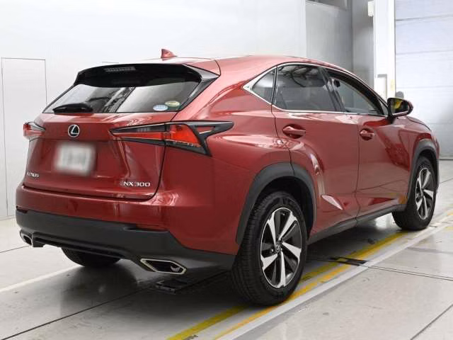 LEXUS NX300