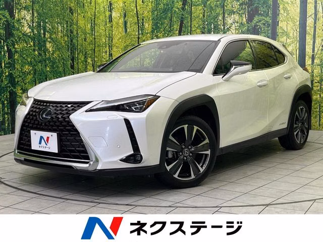 Lexus UX250h