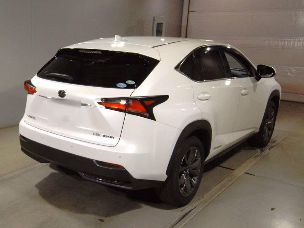 LEXUS NX300