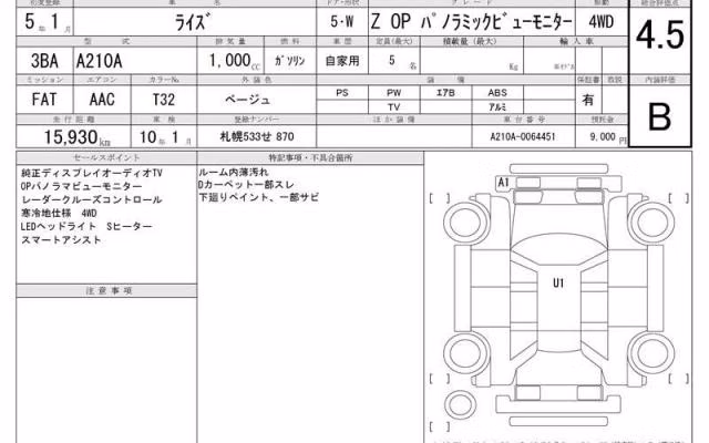 TOYOTA RAIZE